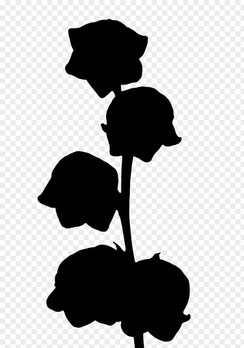 Clip Art Leaf Silhouette Black M PNG