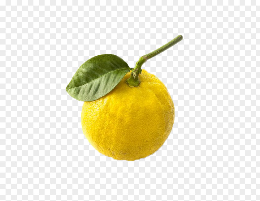 Orange Citrus Junos Lemon Mandarin Bergamot Rangpur PNG