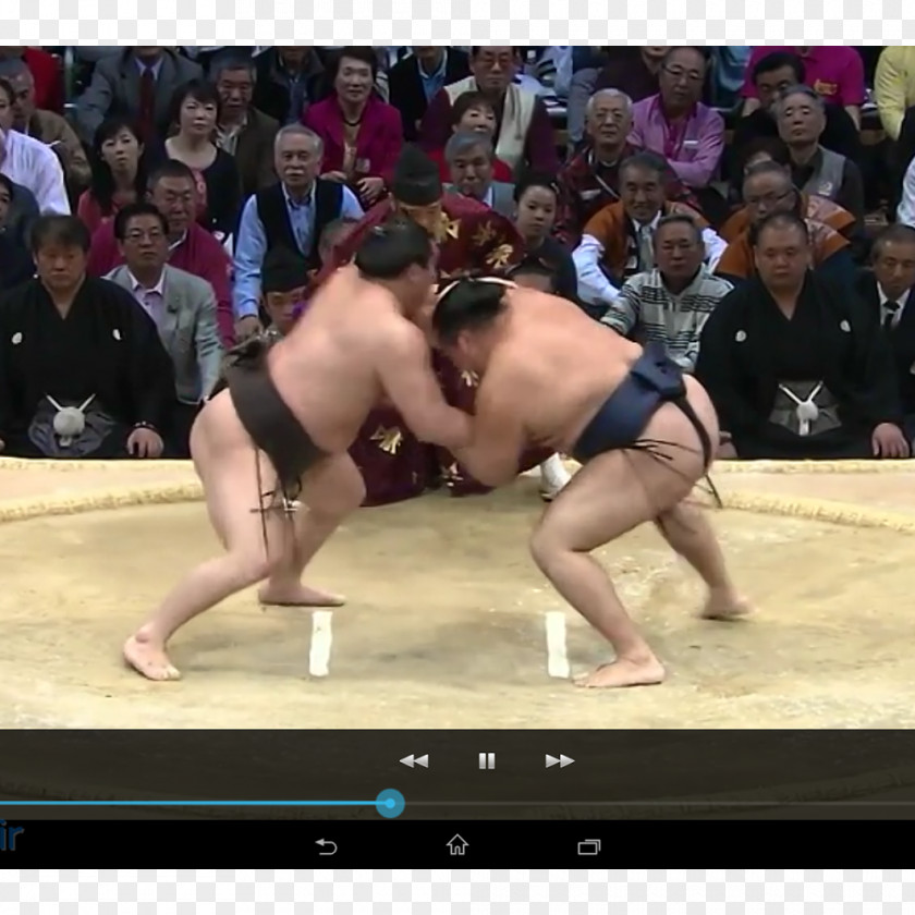 Sumo Combat Sport Wrestling Grappling PNG