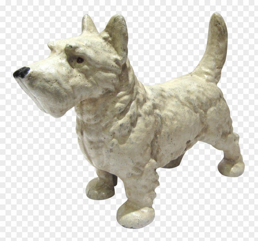 West Highland Terrier Cairn White Dog Breed PNG