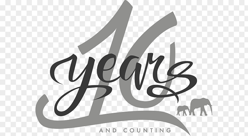 10 Years Anniversary Logo Brand Graphic Design Product PNG