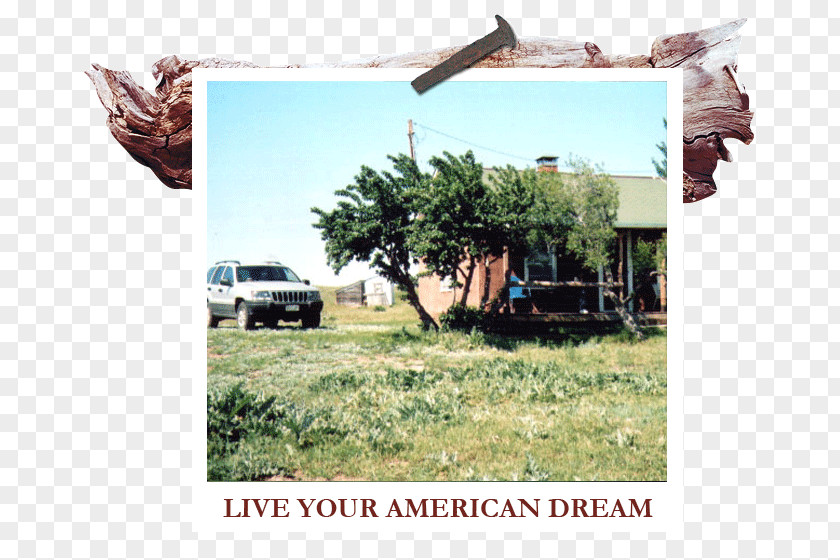 American Dream White River Ranch Themar South Thuringia Riesling Grüner Veltliner Plant Community PNG