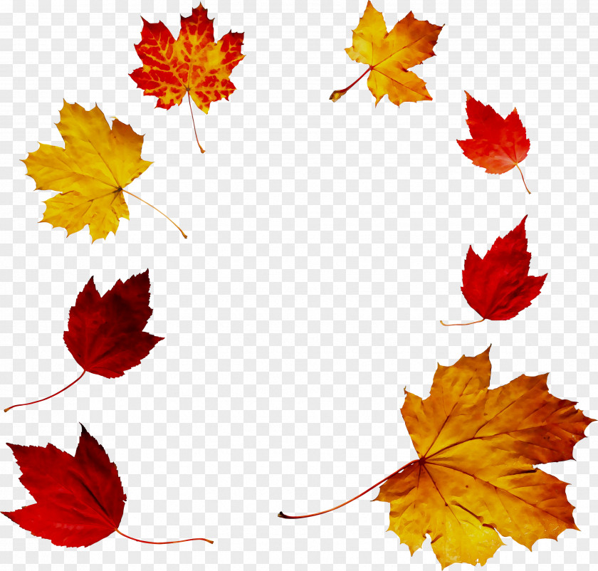 Autumn Maple Leaf Short Story Voicelessness PNG