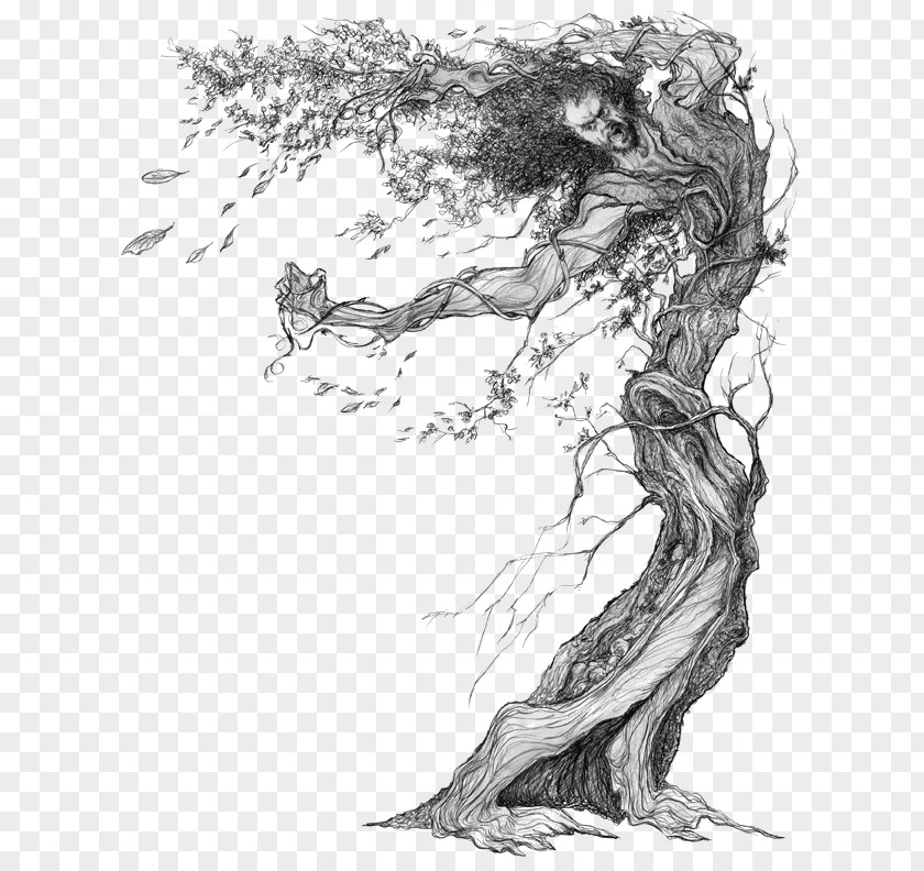 Dryad Art Drawing Sketch PNG