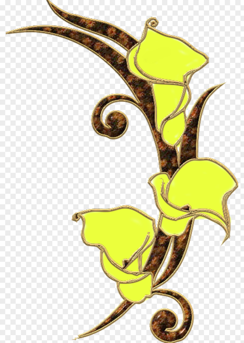 Kenar Yellow Color Clip Art PNG