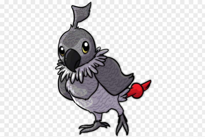 African Grey Parrot Pokémon Chatot PNG