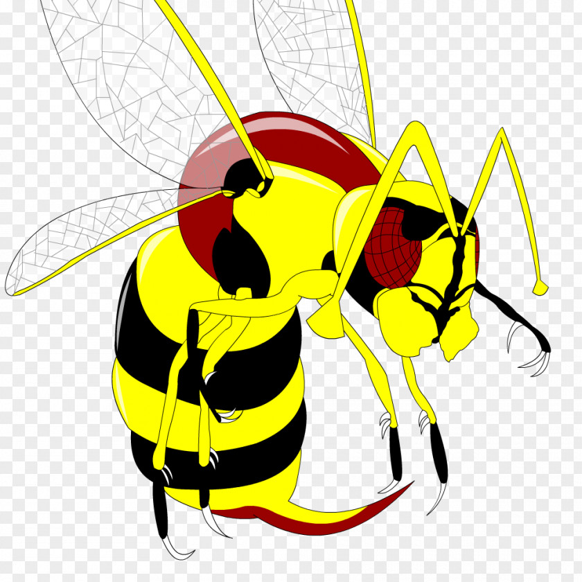 Bee Honey Wasp Clip Art Illustration PNG