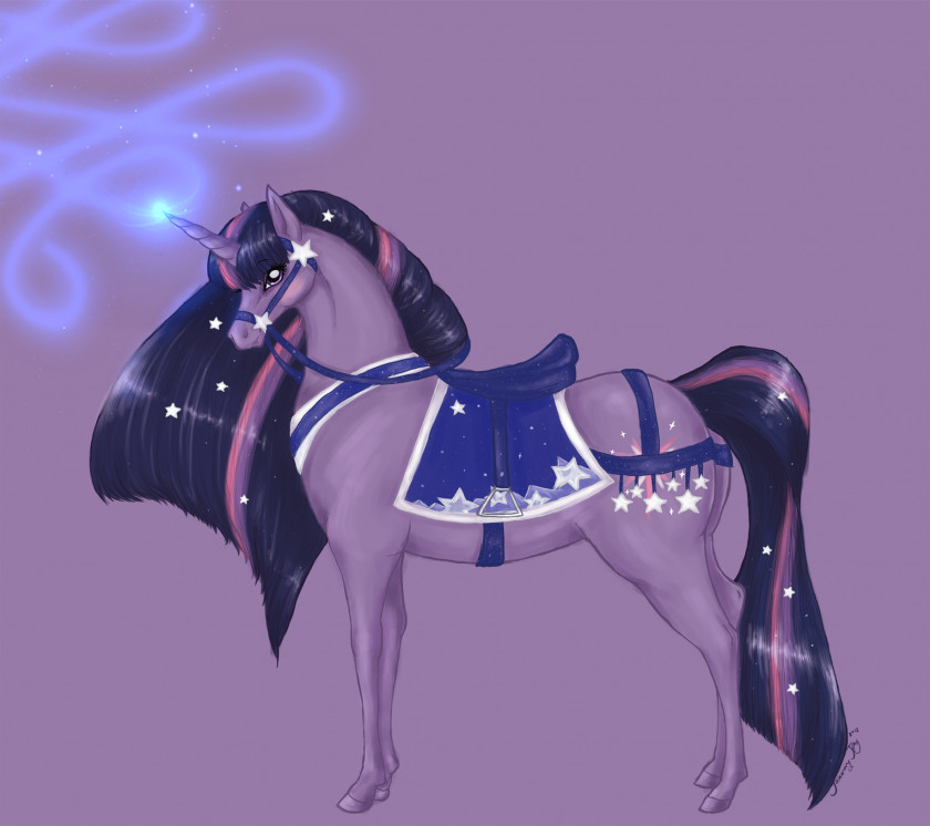 Carousel Twilight Sparkle Rainbow Dash Fluttershy Horse Pony PNG