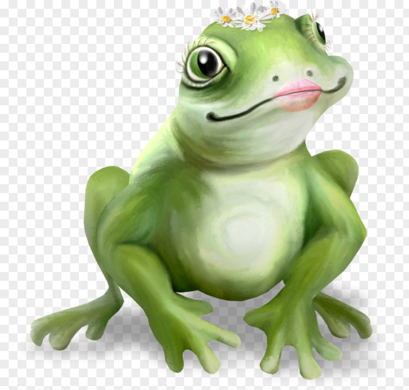 Frog True Common The Prince Tree PNG