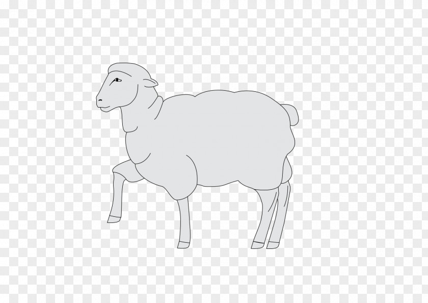 Sheep Goat Cattle Cartoon Mammal PNG
