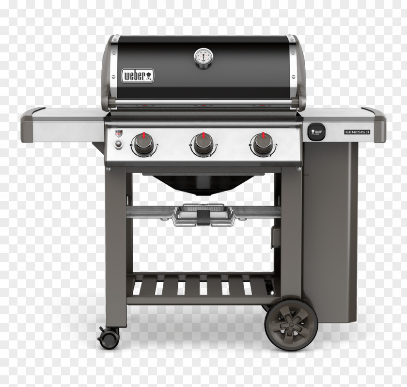 Special Gourmet Barbecue Propane Natural Gas Weber-Stephen Products Burner PNG