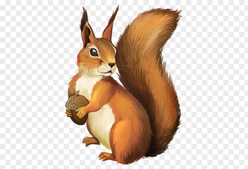 Squirrel Chipmunk A Christmas Clip Art PNG