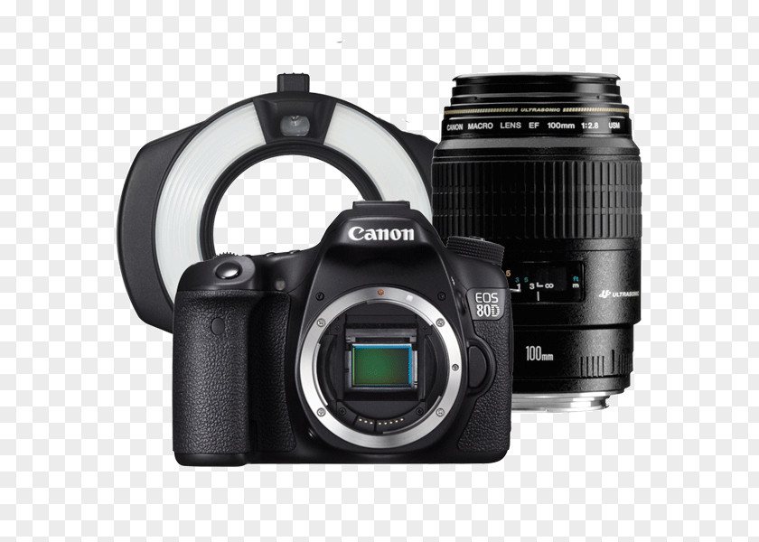 Camera Canon EOS 6D 77D EF-S 18–135mm Lens 70D Digital SLR PNG