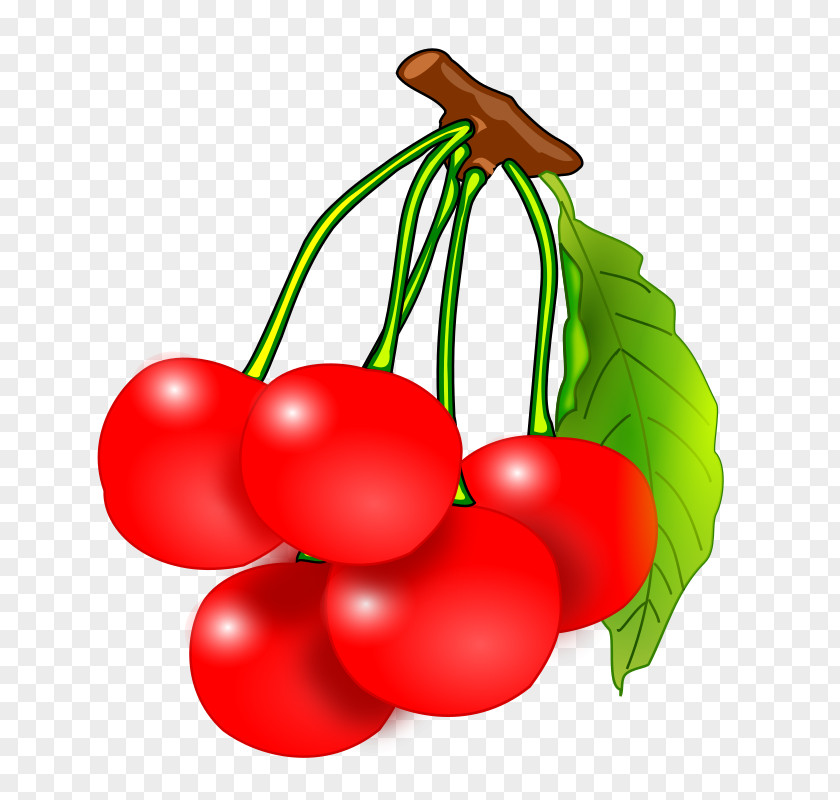 Cherry Fruit Clip Art PNG