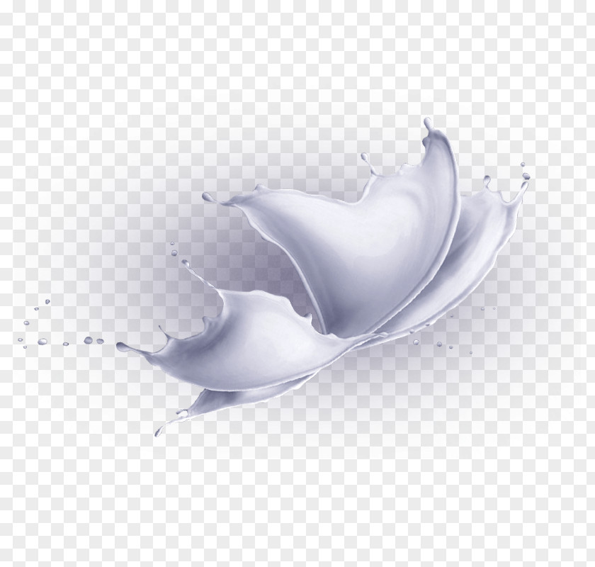 Creative Butterfly Shape Milk Graphic Design PNG