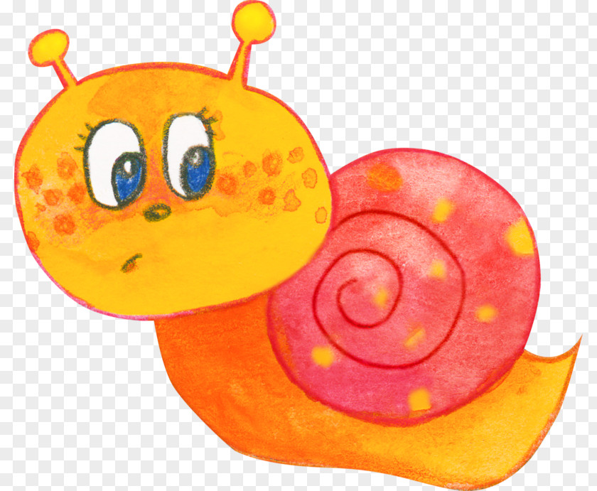 Cute Little Snail Illustration PNG