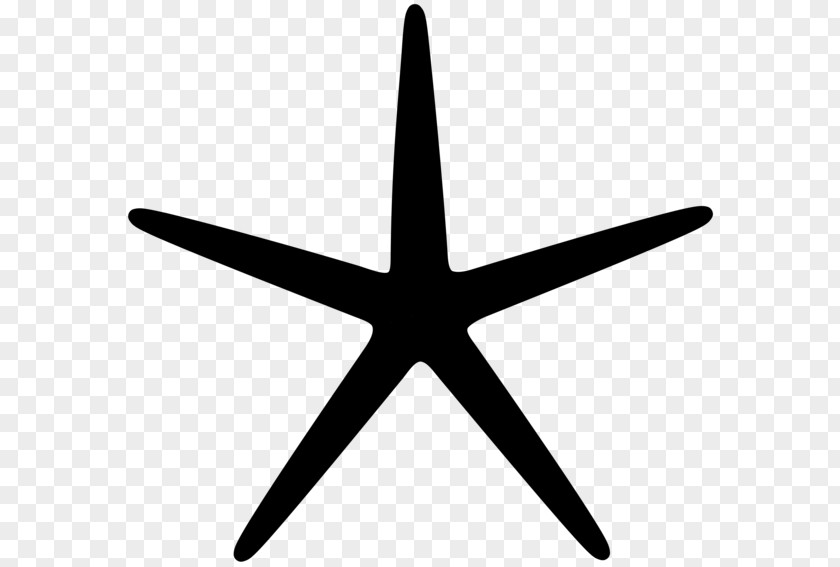 Starfish Throw Pillows Tattoo Sea Image PNG