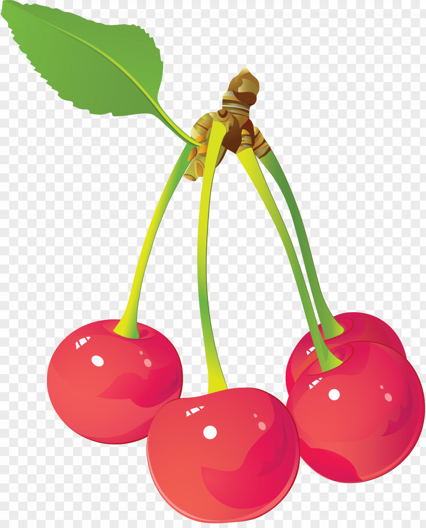 Cherry Juice Fruit PNG