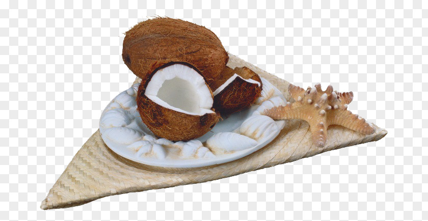 Coconut And Starfish Nata De Coco Fruit Clip Art PNG