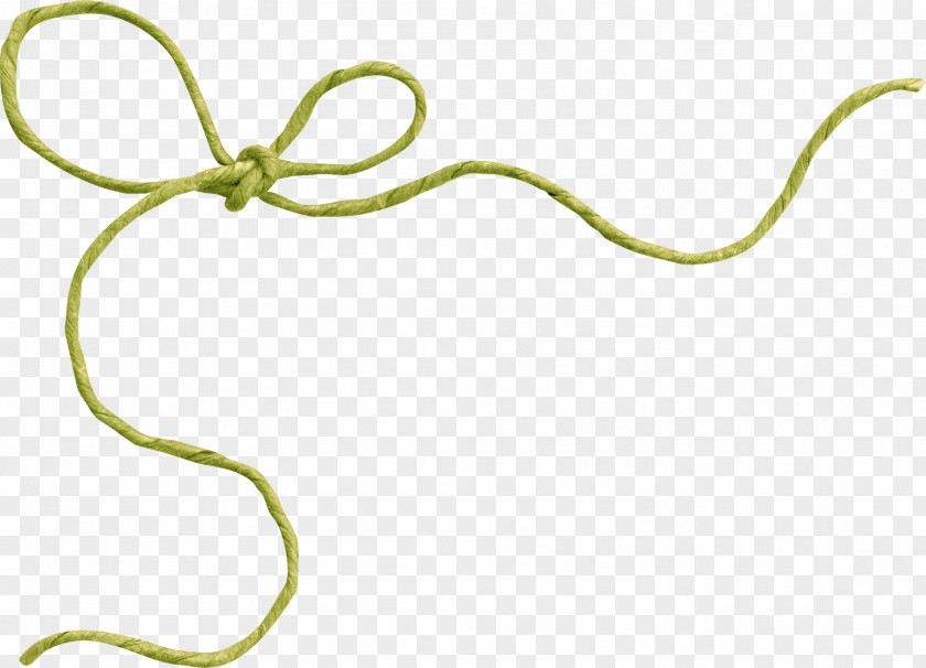 Green Bow PNG