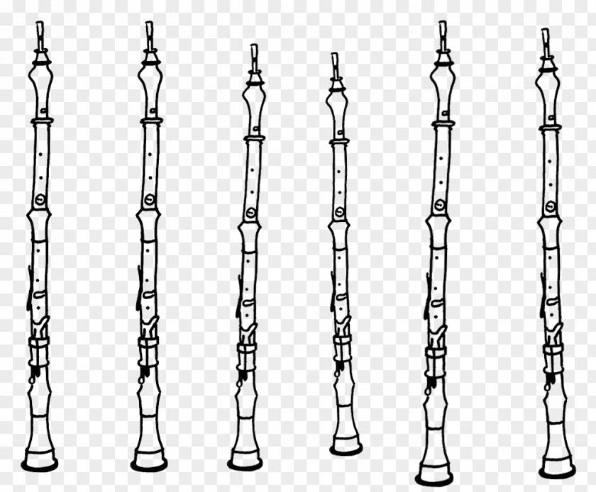 Oboe Bassoon Orchestra Clarinet Wind Instrument PNG