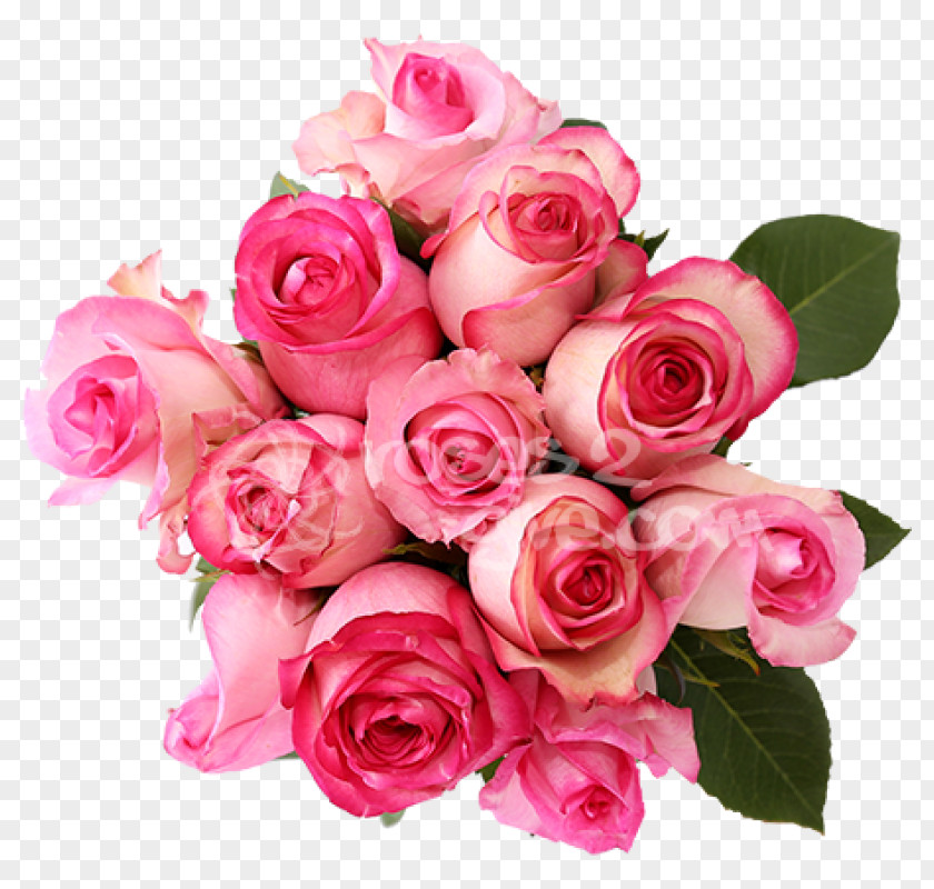 Pink Flower Cut Flowers Garden Roses Bouquet PNG