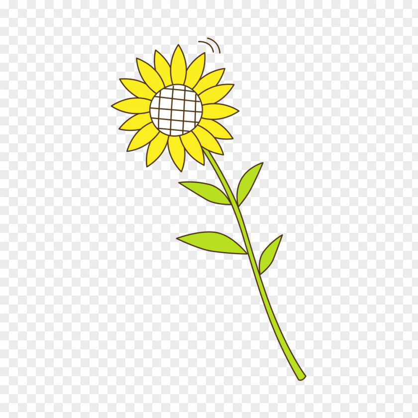 Sunflower Seed Yellow Sunflowers Pattern PNG