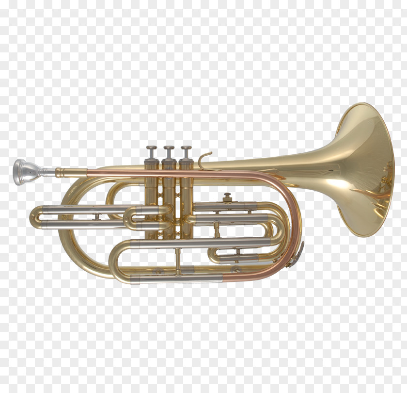 Trumpet Cornet Tenor Horn Mellophone Saxhorn PNG