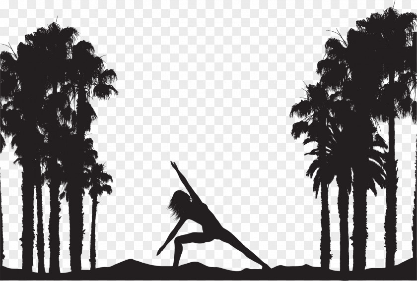 Vector Yoga Silhouettes Silhouette Arecaceae Euclidean Photography PNG