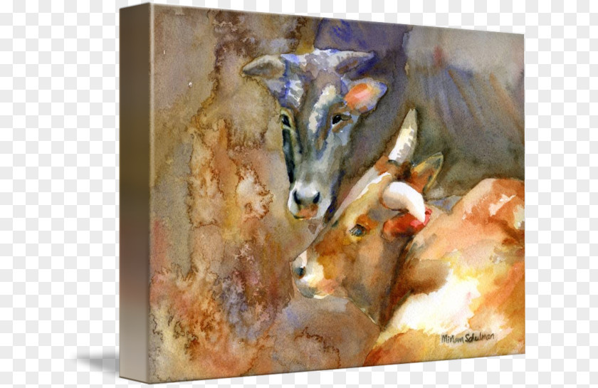 Watercolour Animals Texas Longhorn Watercolor Painting Art PNG