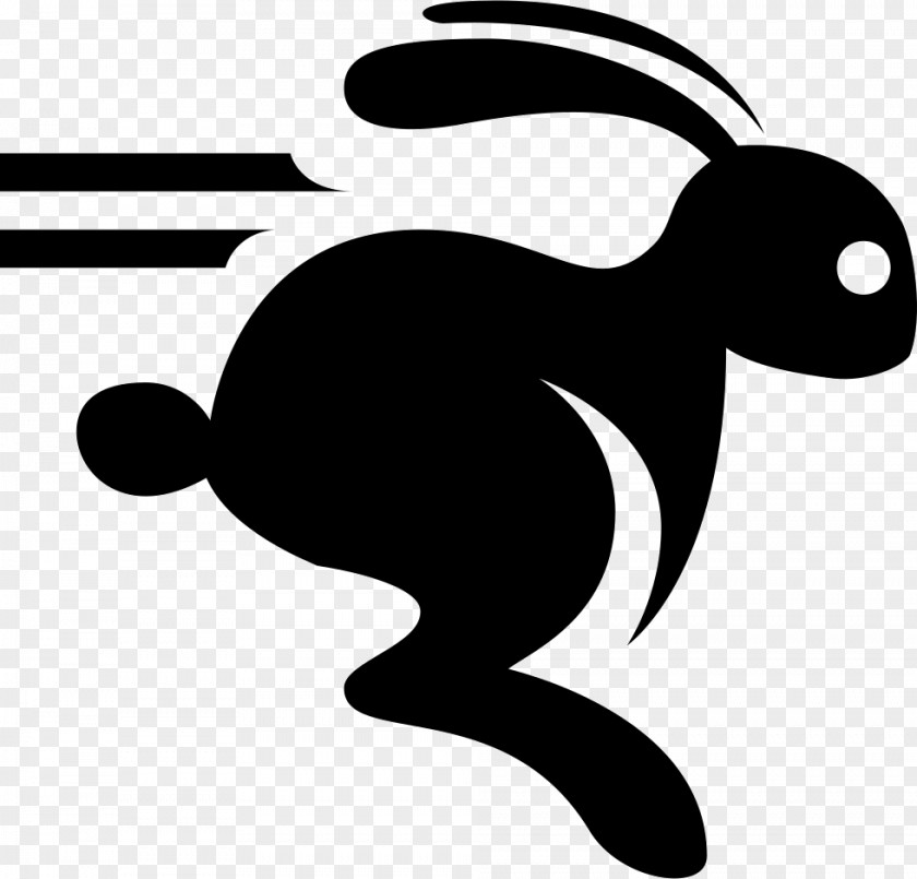 Bunny Running Rabbit Hare PNG