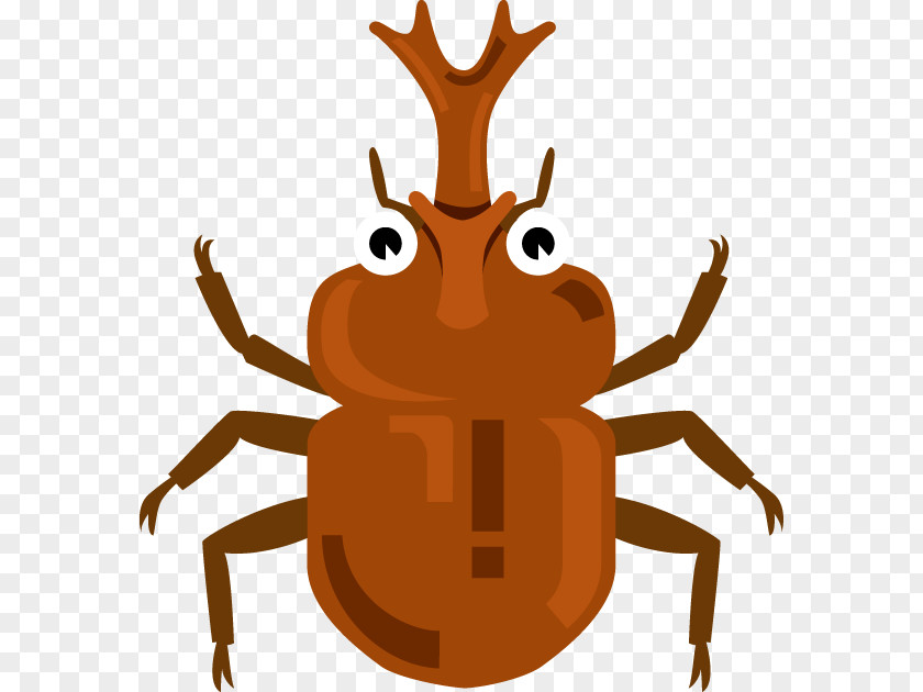 Insect Crab Japanese Rhinoceros Beetle Clip Art PNG