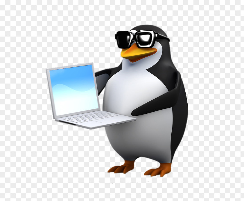 Penguin Stock Photography Royalty-free PNG