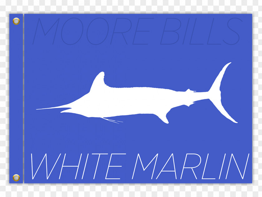 Shark White Marlin Open Atlantic Blue PNG