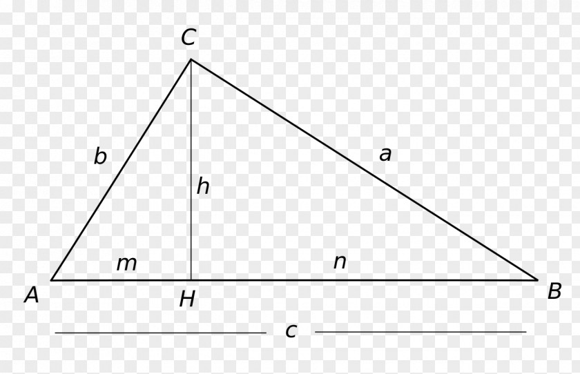 Triangulo Right Triangle Rectangle Cathetus PNG