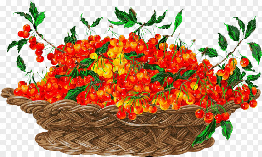 Cherry Floral Design Vegetable Flowerpot Orange Fruit PNG