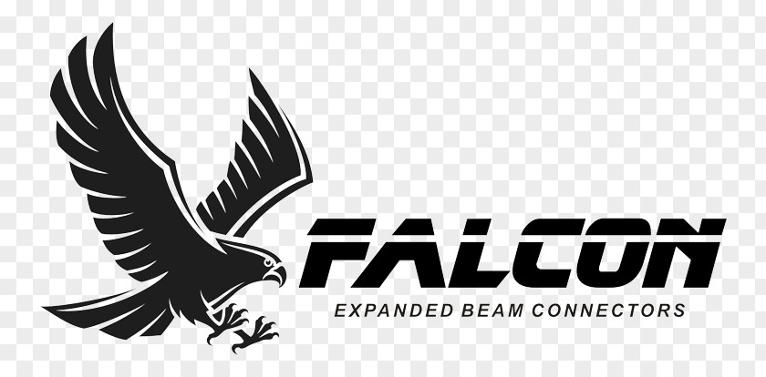 Falcon Big Bang, El / Ciencia Ficción, La Logo WALKONWATE Walk On Water Boarding Sleeve Laptop Font PNG