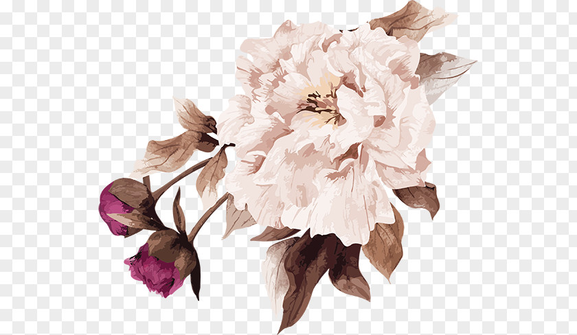 Flower Cut Flowers Floral Design Art Bouquet PNG