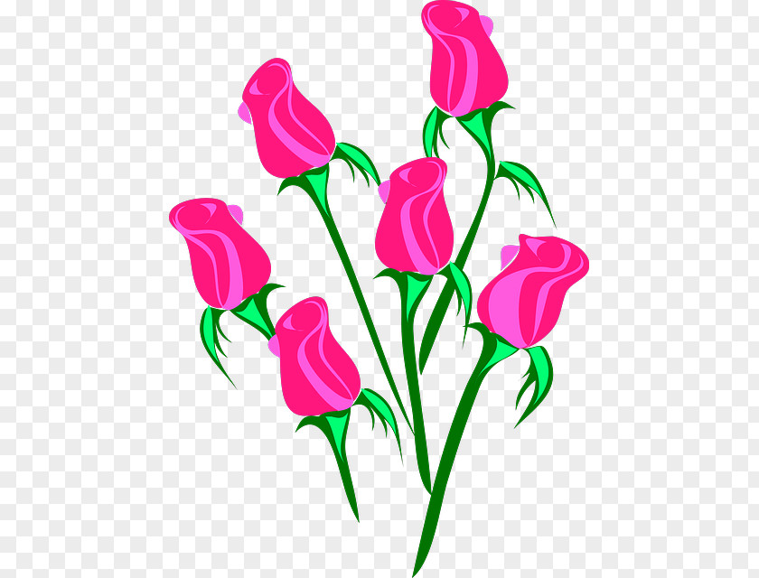 Flowers Cartoon Rose Flower Pink Clip Art PNG