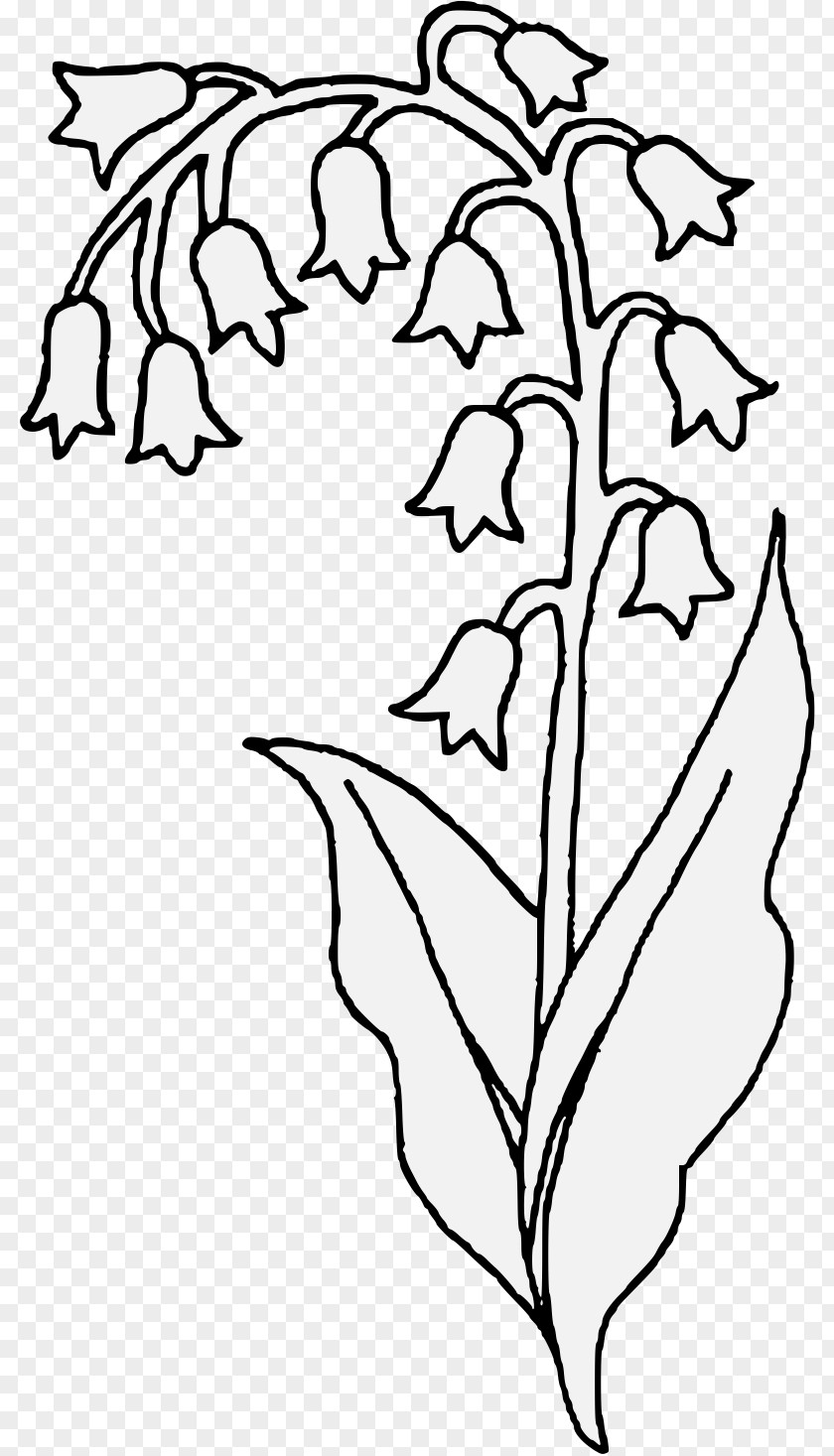 Lily Of The Valley Flower Drawing Plant Stem Clip Art PNG