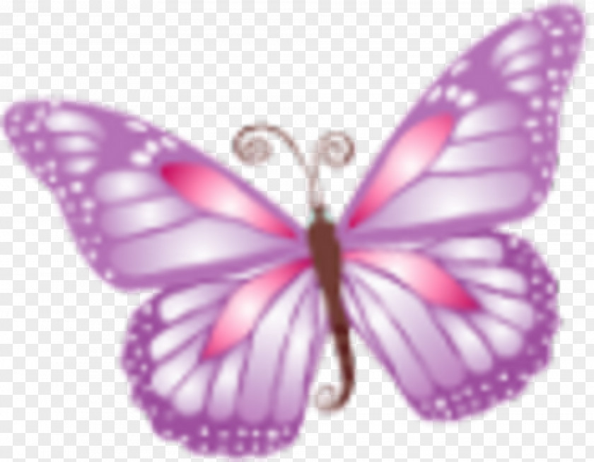 Pink Butterfly Download PNG