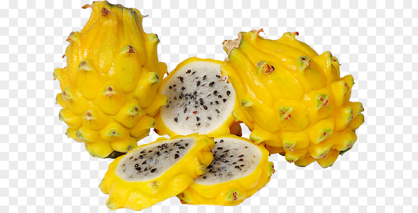 Pitaya Hylocereus Megalanthus Undatus Fruit Food PNG