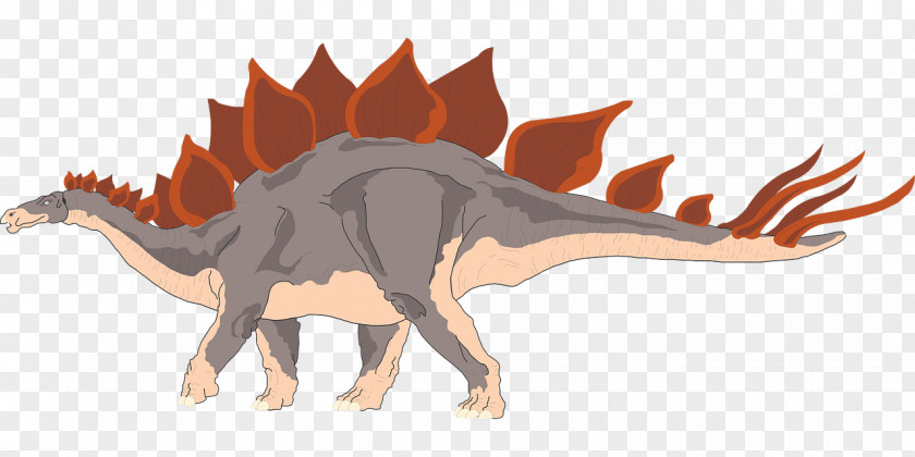 Stegosaurus Dinosaur Apatosaurus Tyrannosaurus Image PNG