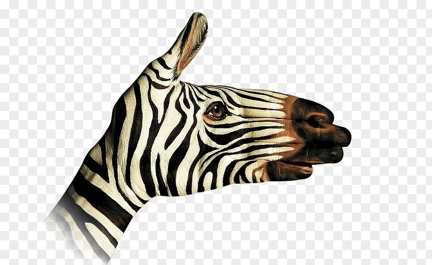 Zebra Quagga Painting Ignorant Men Don't Know What Good They Hold In Their Hands Until They've Flung It Away. Animal PNG