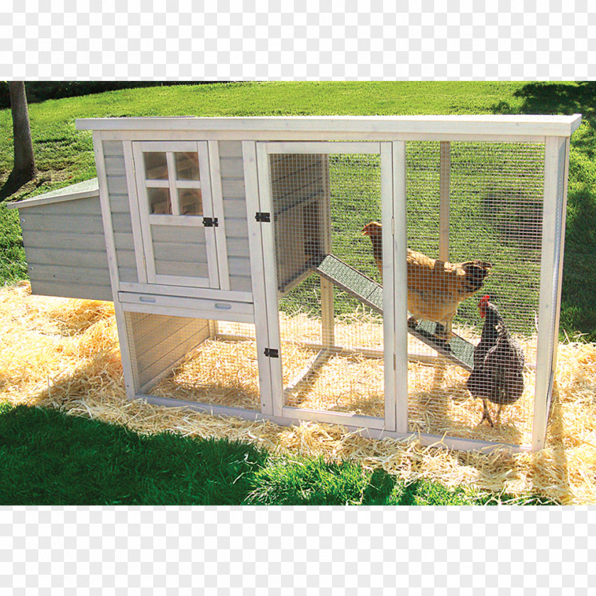 Chicken Coop Tractor Chickens As Pets Building PNG