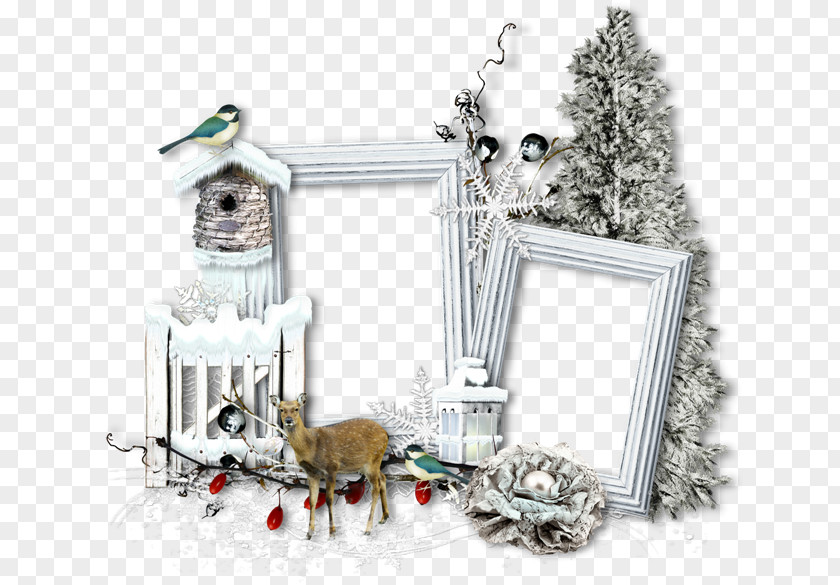 Christmas Picture Frames Data Compression Photography PNG