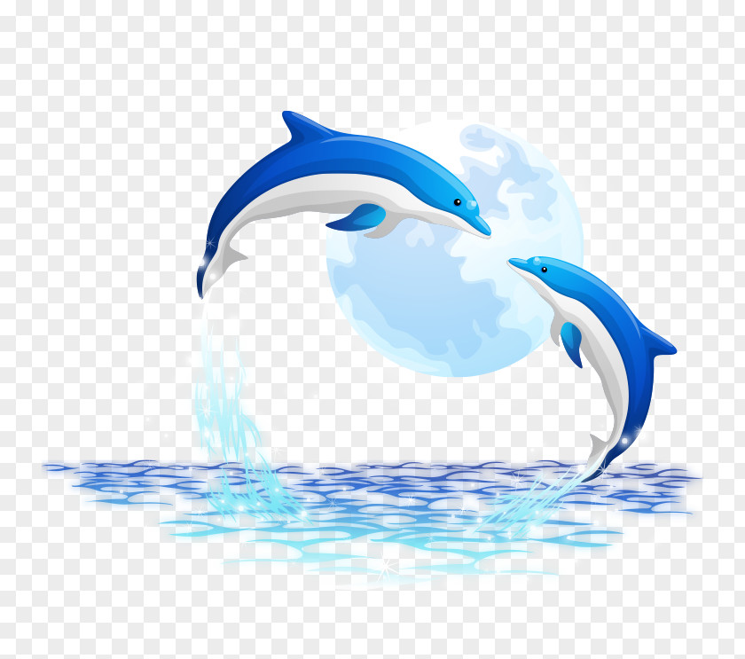 Dolphin Oceanic PNG