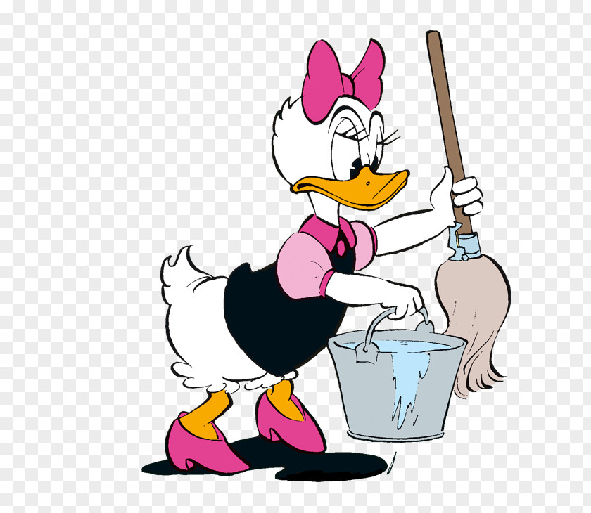 Donald Duck Domestic Chicken Ghost Beak PNG
