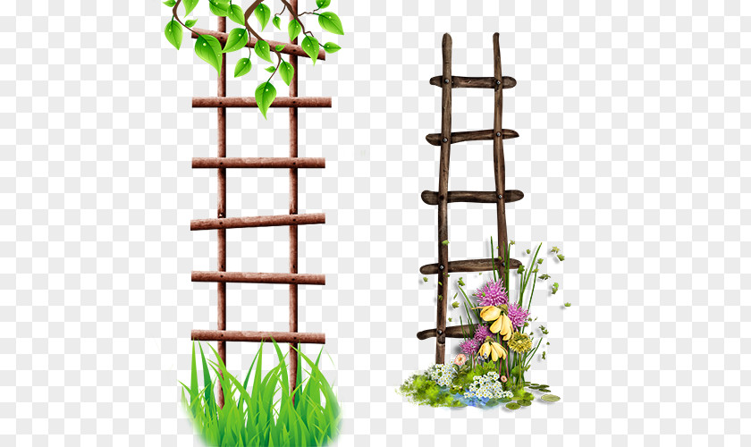 Flower Frame Ladder Albom Icon PNG