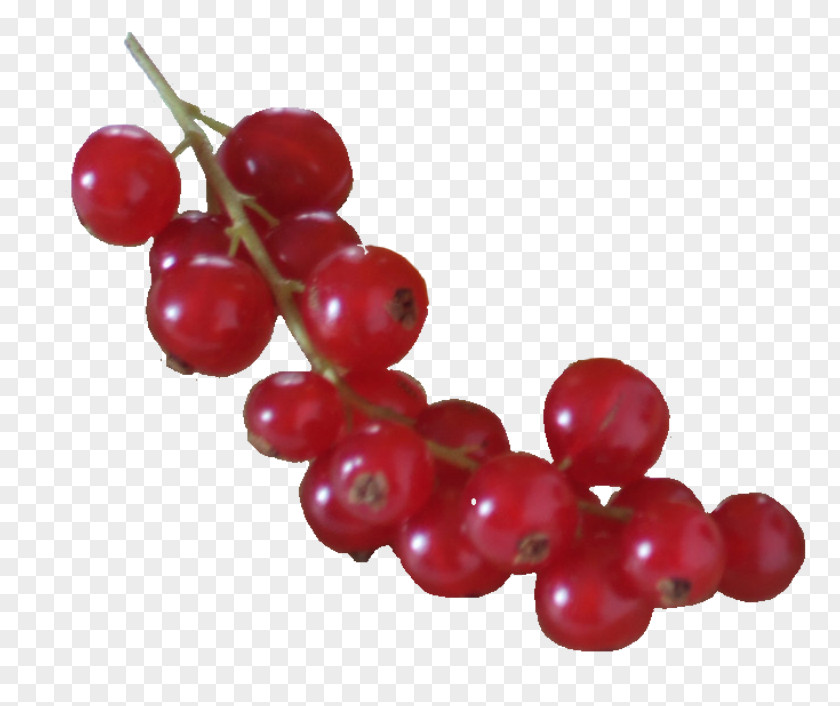 Grape Zante Currant Redcurrant PNG